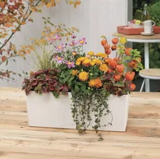 Кашпо "LECHUZA" Balconera Color 50 белый