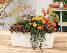 LECHUZA BALCONERA COLOR 80 (80*19*19)